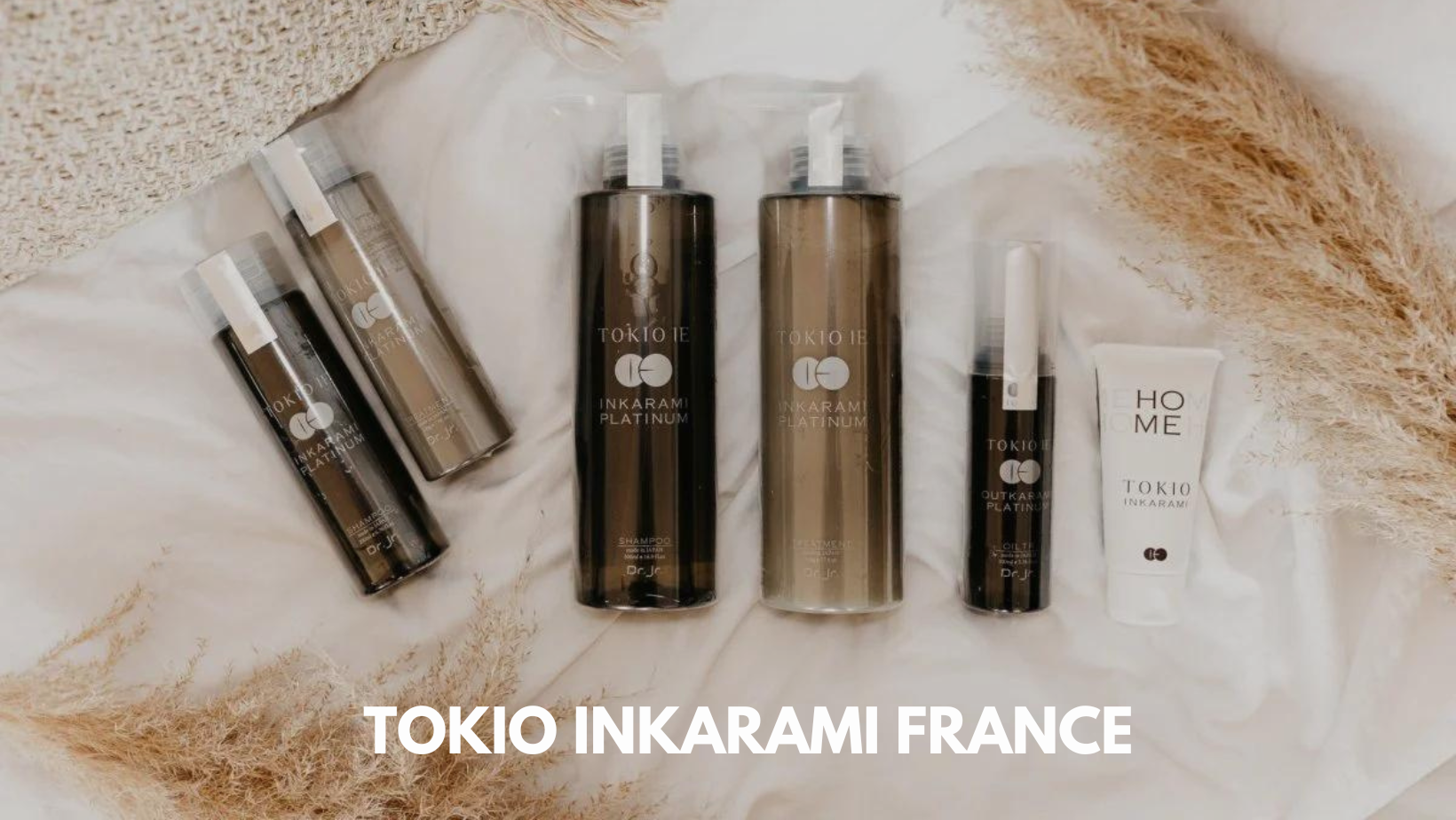 Tokio Inkarami