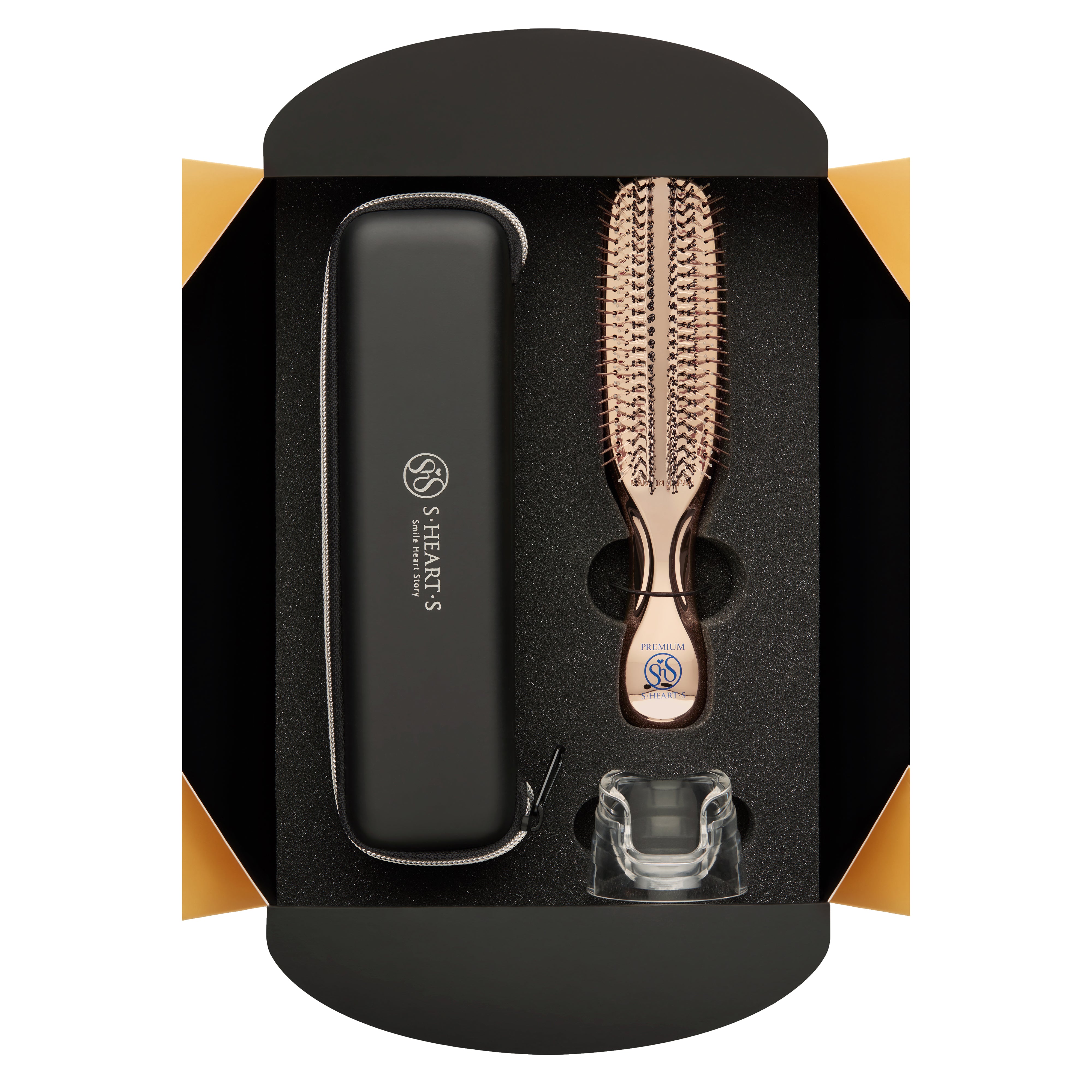 Coffret Scalp Brush Premium